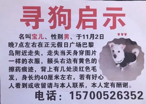 B3696C8D-4DA1-45DD-93E0-074516EC29FB.jpeg