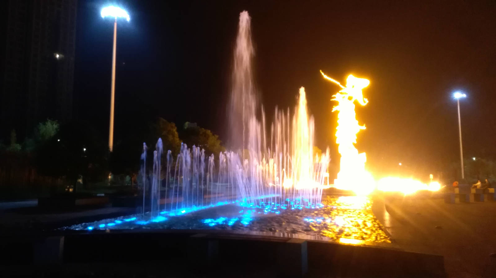353.jpg