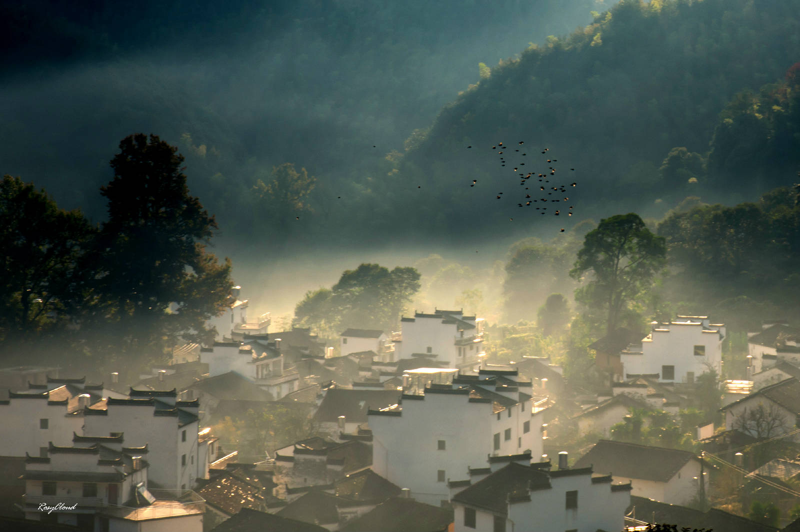 015-5522_副本.jpg