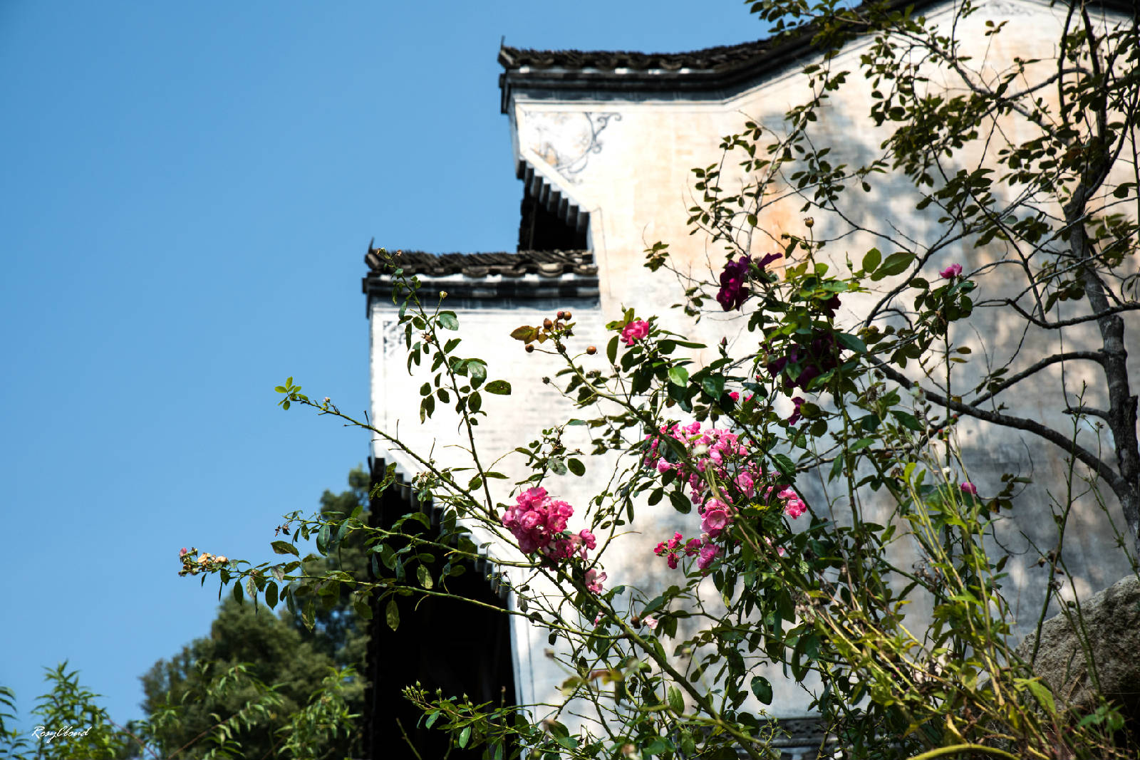 015-5625_副本.jpg