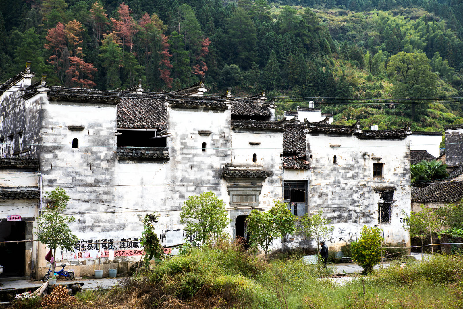 015-4954_副本.jpg