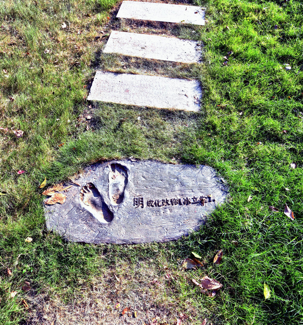 GLN_7580_Detail.jpg