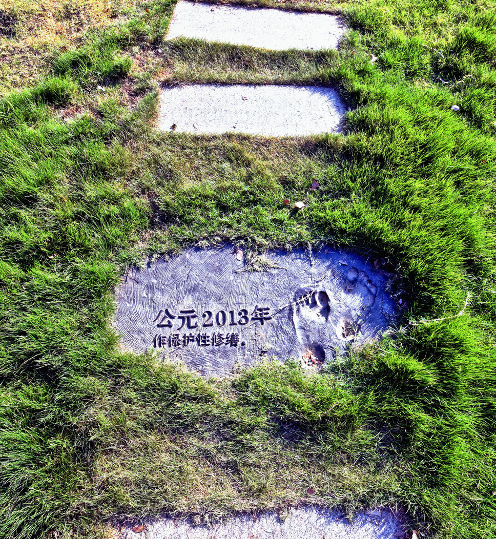 GLN_7586_Detail.jpg