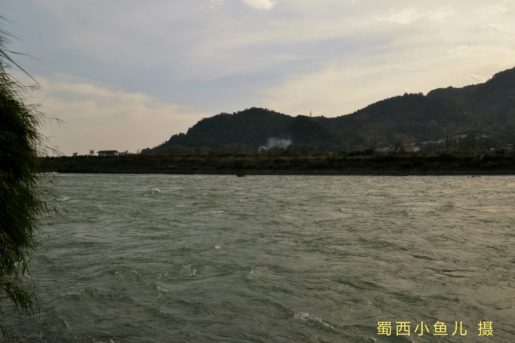 DSC_0088-01.jpeg