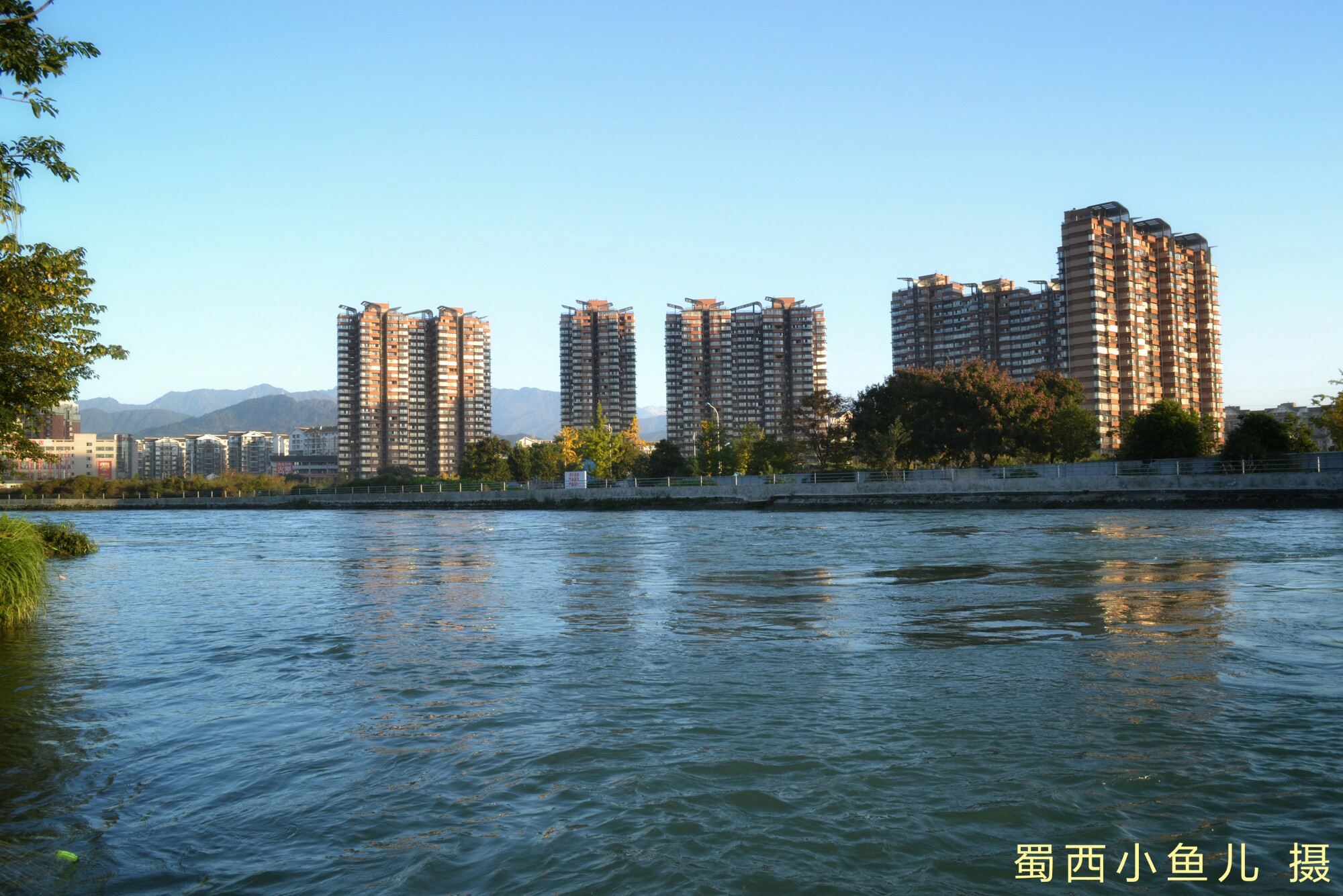 DSC_0096-01.jpeg