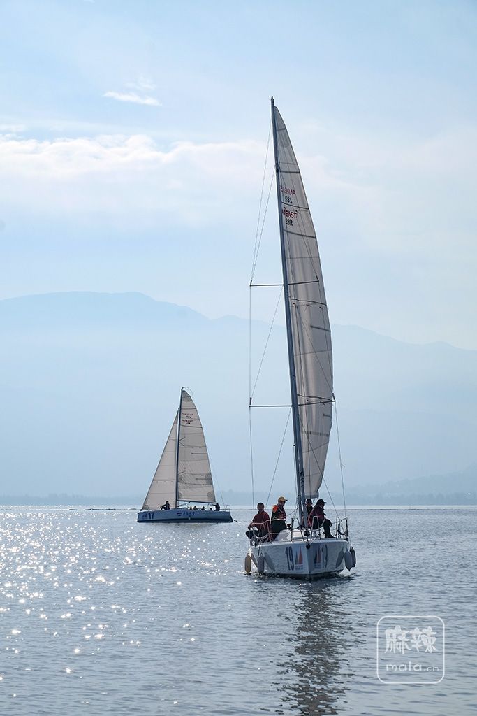 DSCF8630.jpg