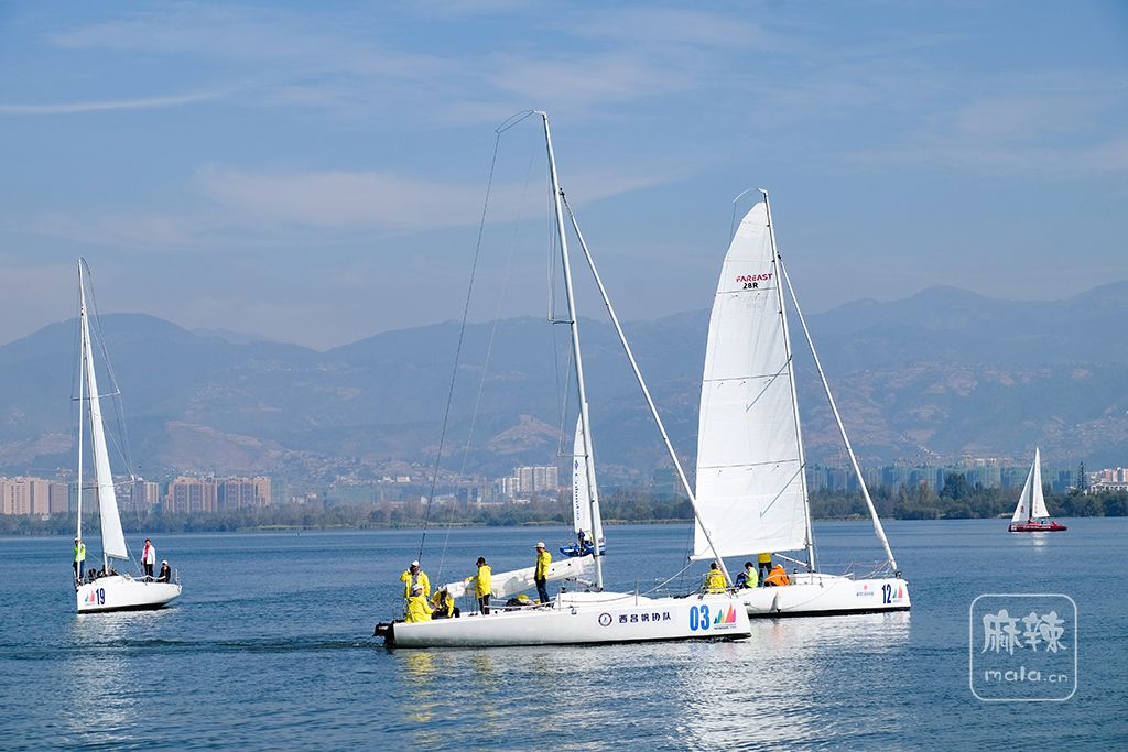 DSCF8725.jpg
