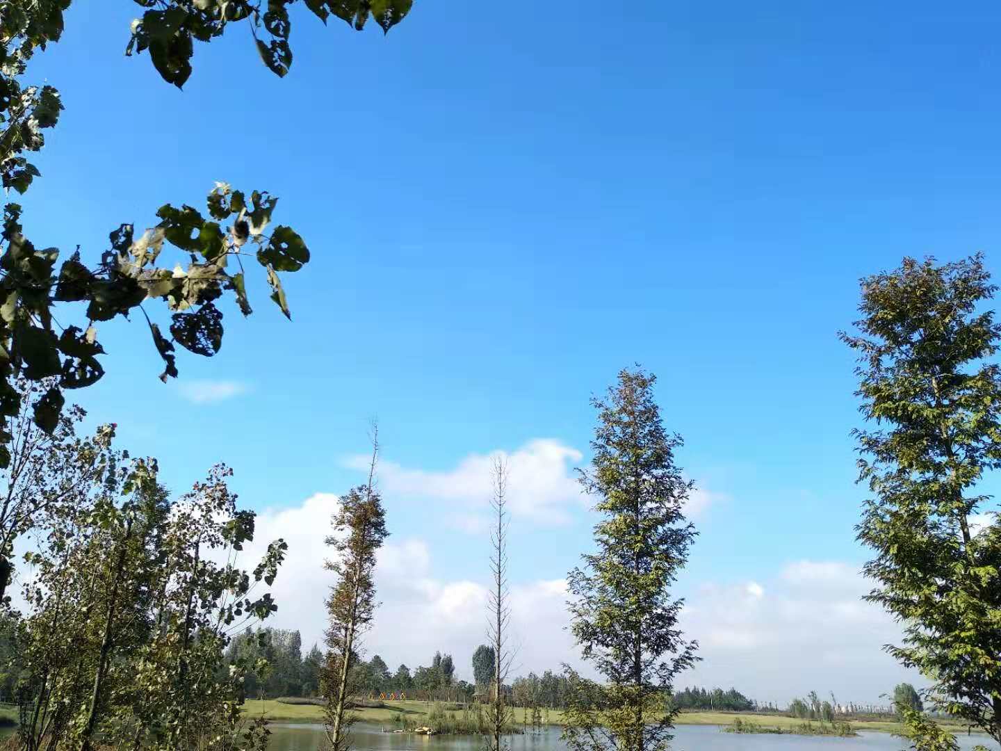 微信图片_2018110514544565.jpg