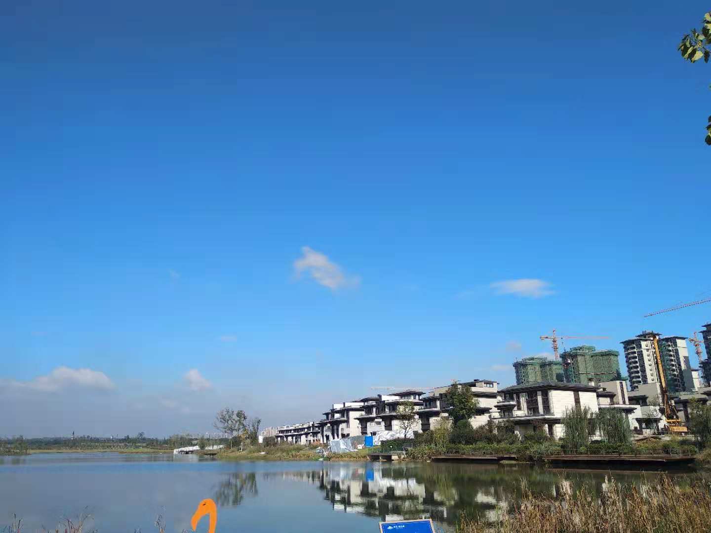 微信图片_2018110514544569.jpg