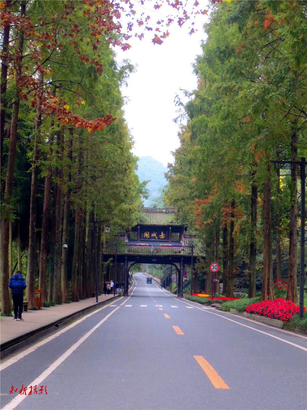 IMG_1271_副本.jpg