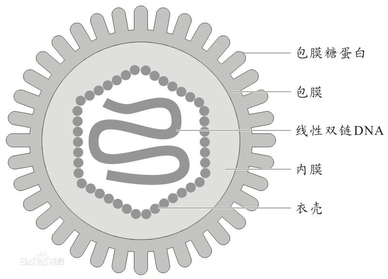 7c1ed21b0ef41bd5efa44e8051da81cb38db3dca.jpg