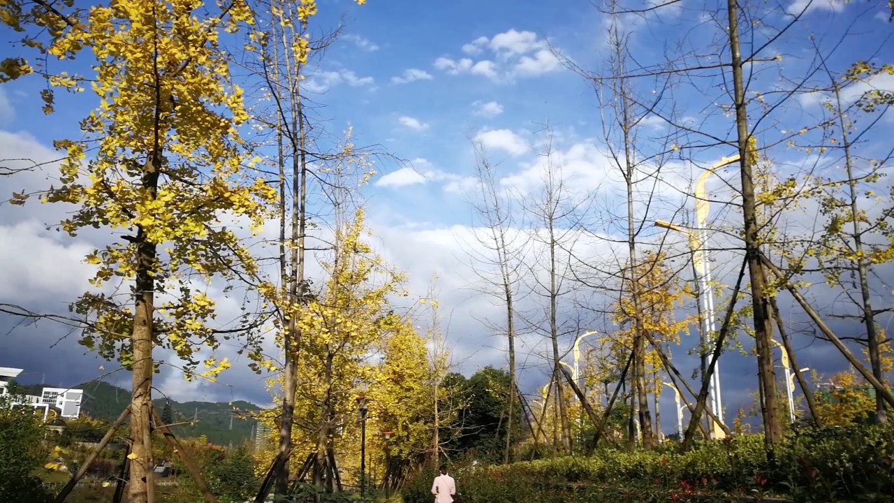 Screenshot_20181107-181052.jpg