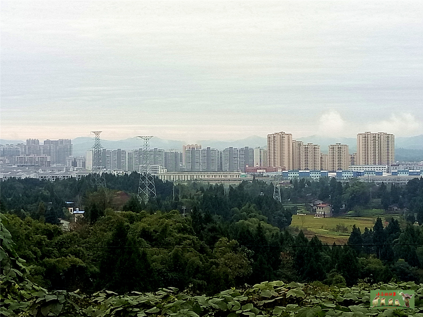 微信图片_20181108110113.jpg