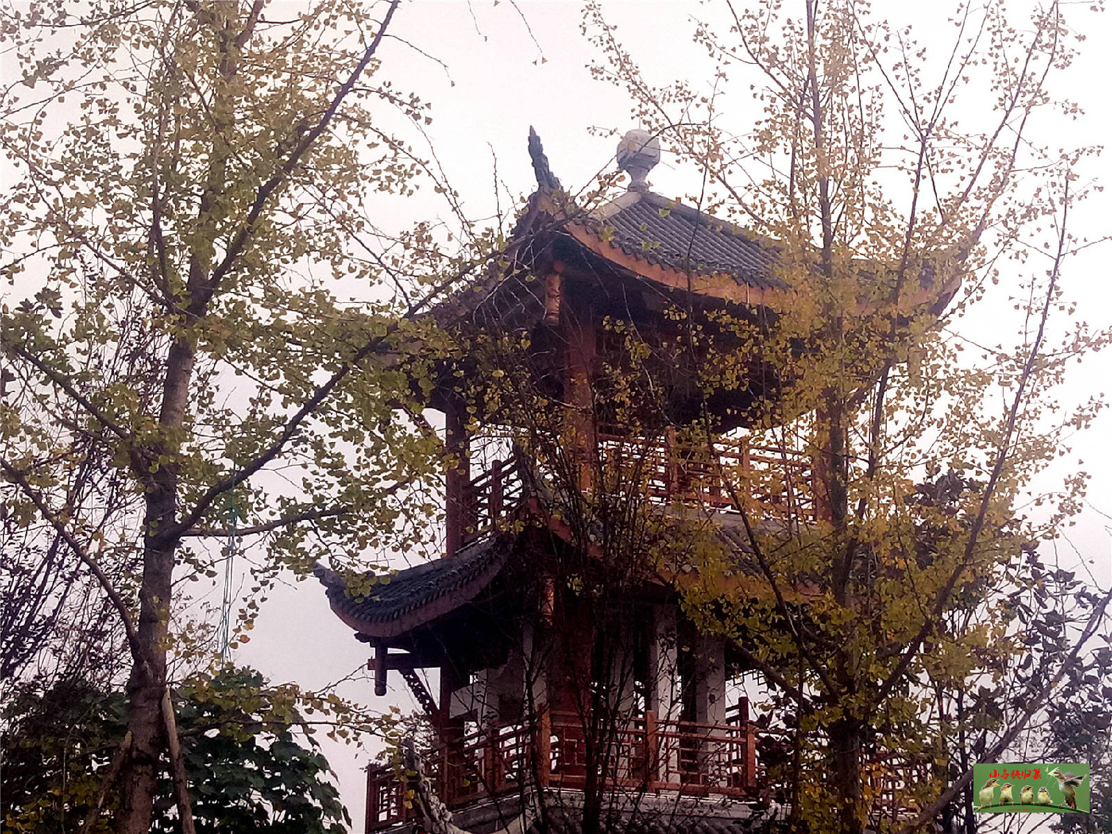 微信图片_20181108105955.jpg