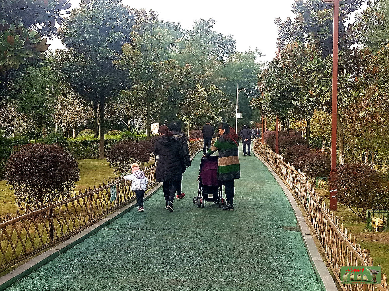 微信图片_20181108105831.jpg