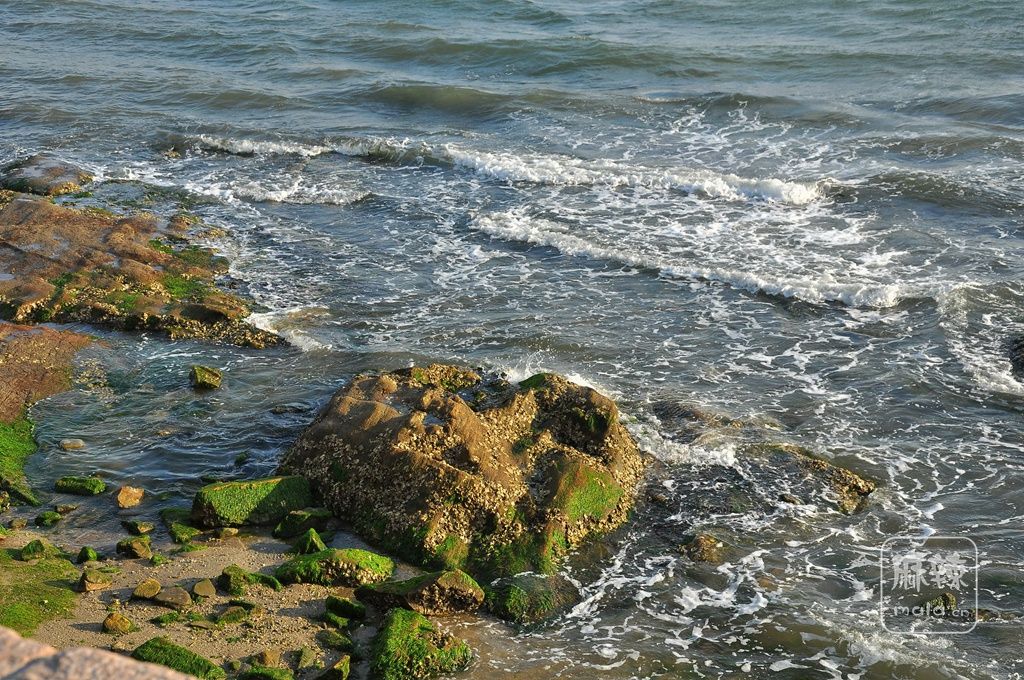DSC_0211_副本.jpg