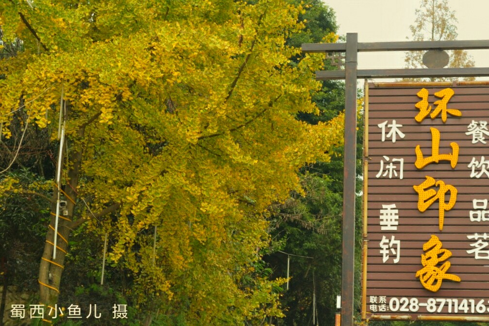 50c88ff62728591c-01-01.jpeg
