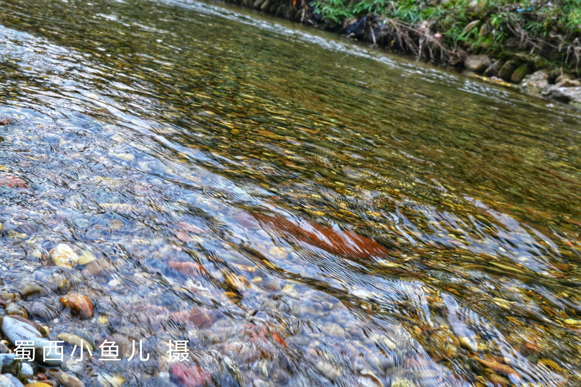 DSC_0221-01.jpeg