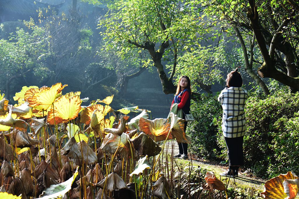 DSC_7909_副本.jpg