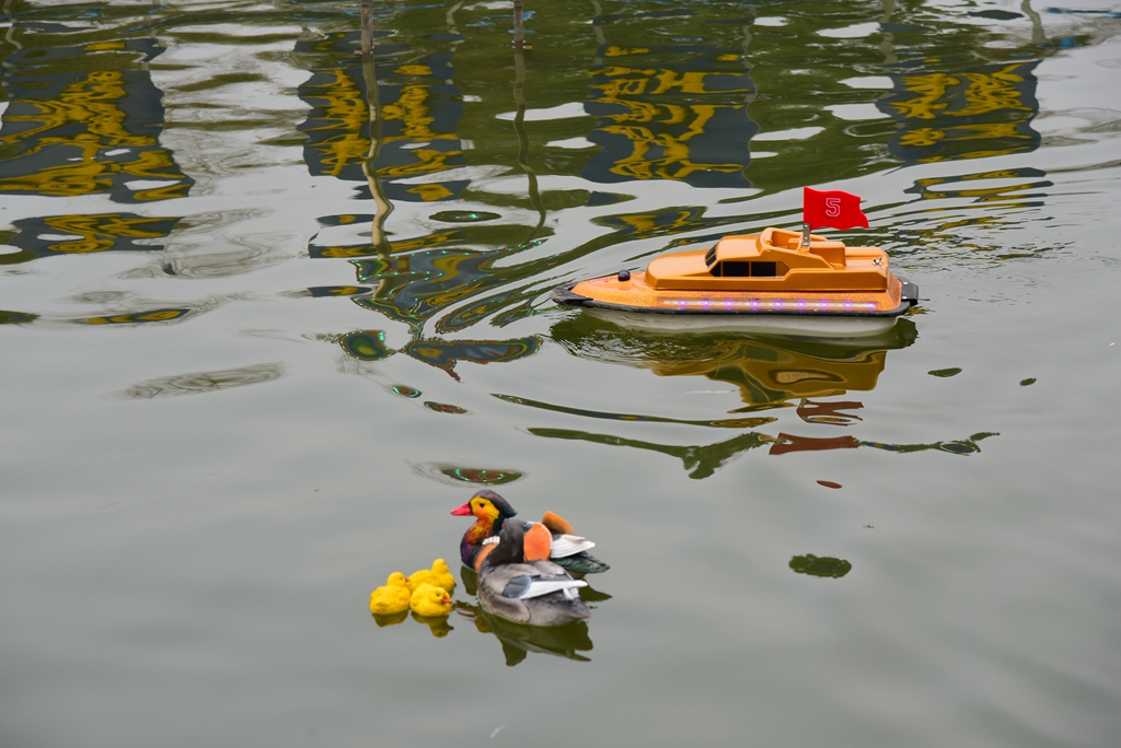DSC_3644.jpg