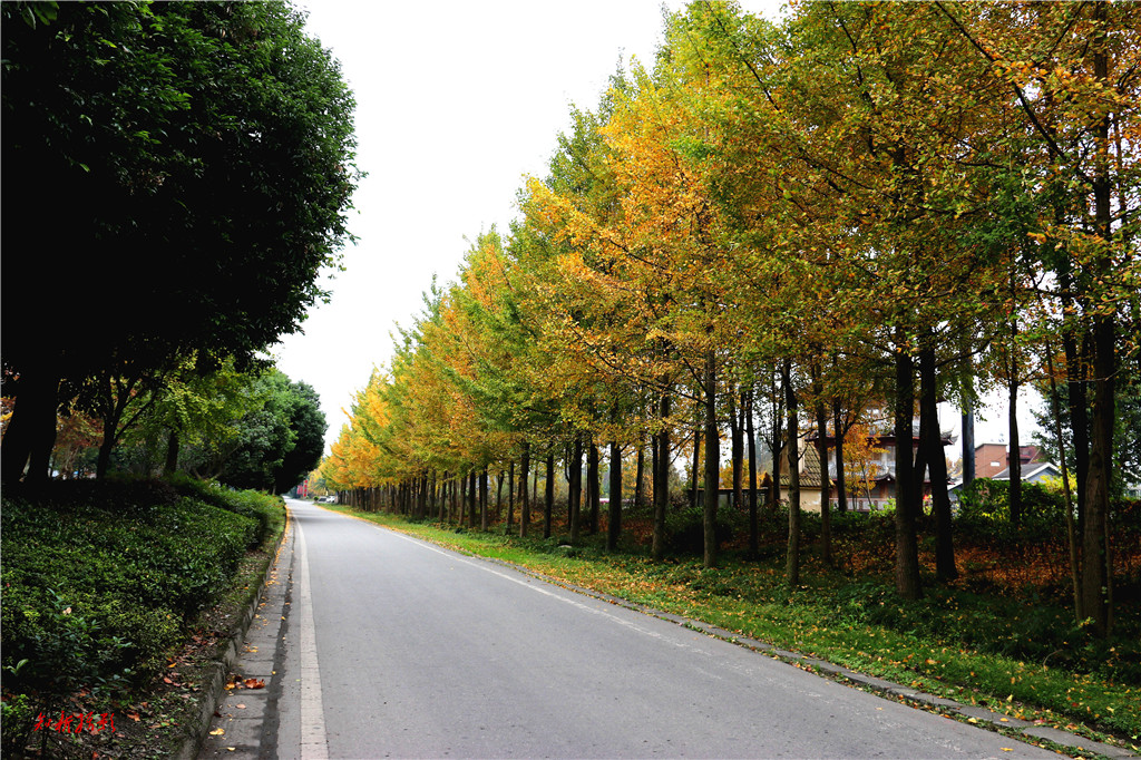 IMG_1267_副本.jpg