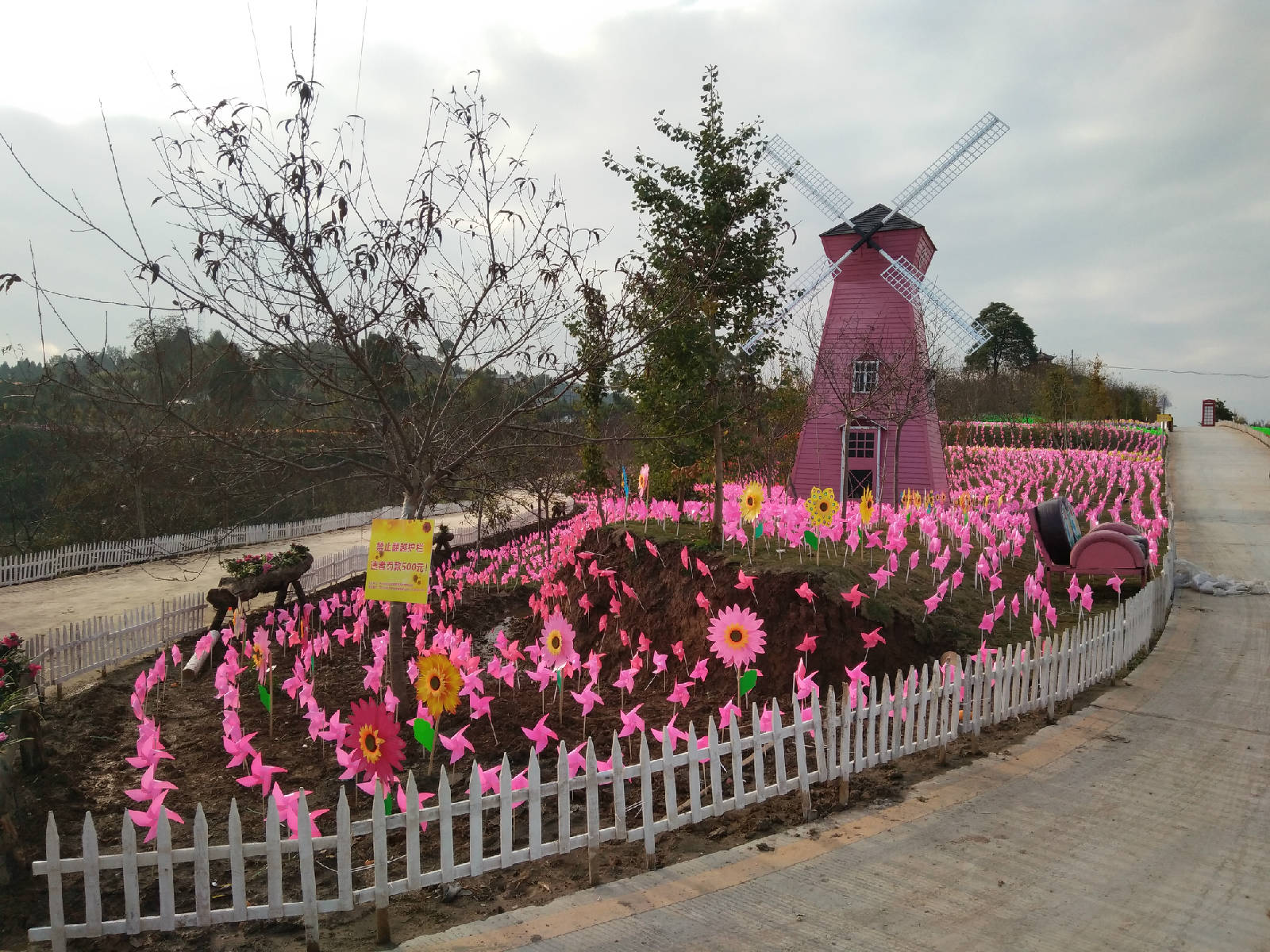 巴山花海11月10日-25日盛大开园