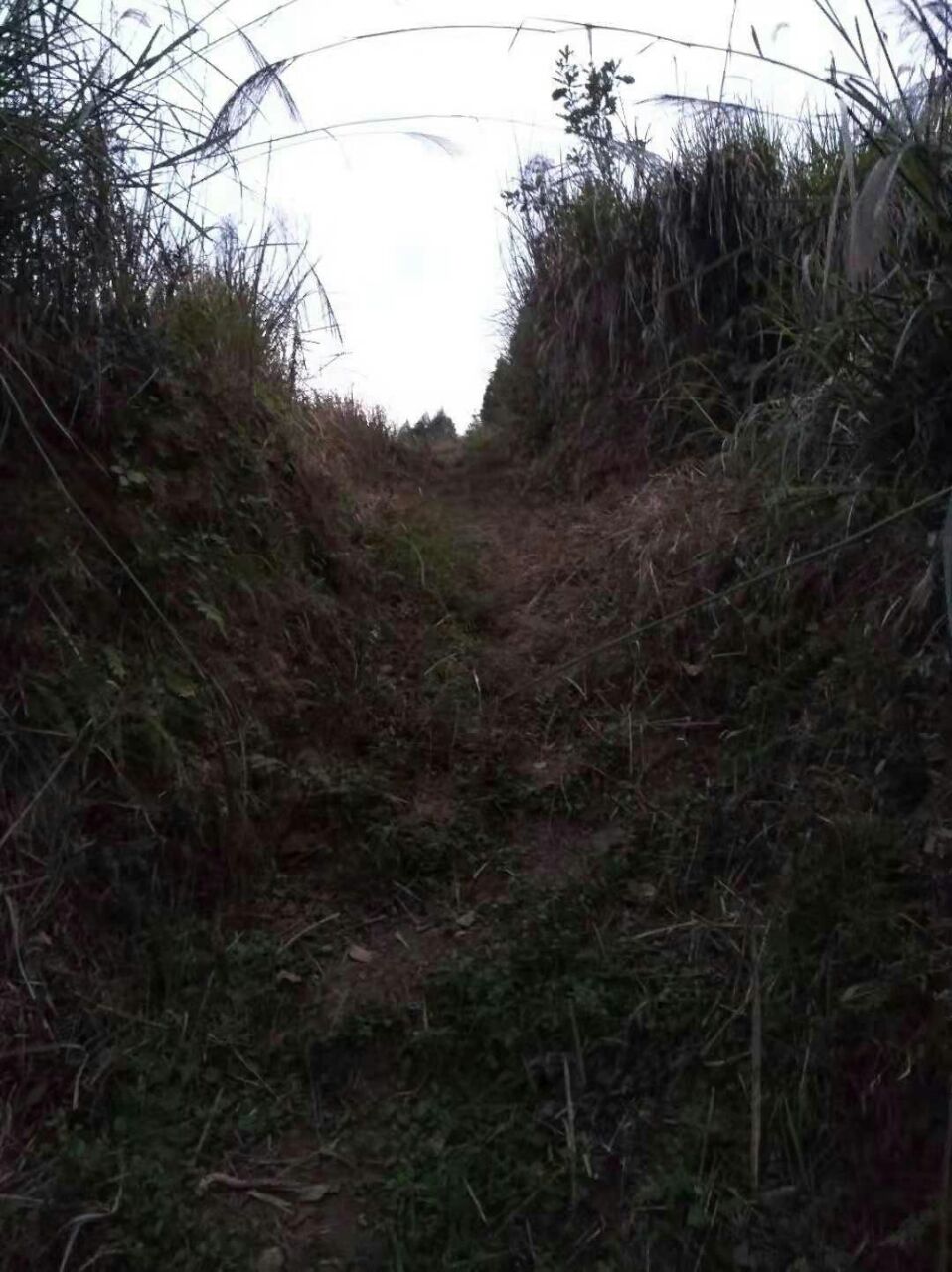 20181111_7526872_1541894543959.jpg
