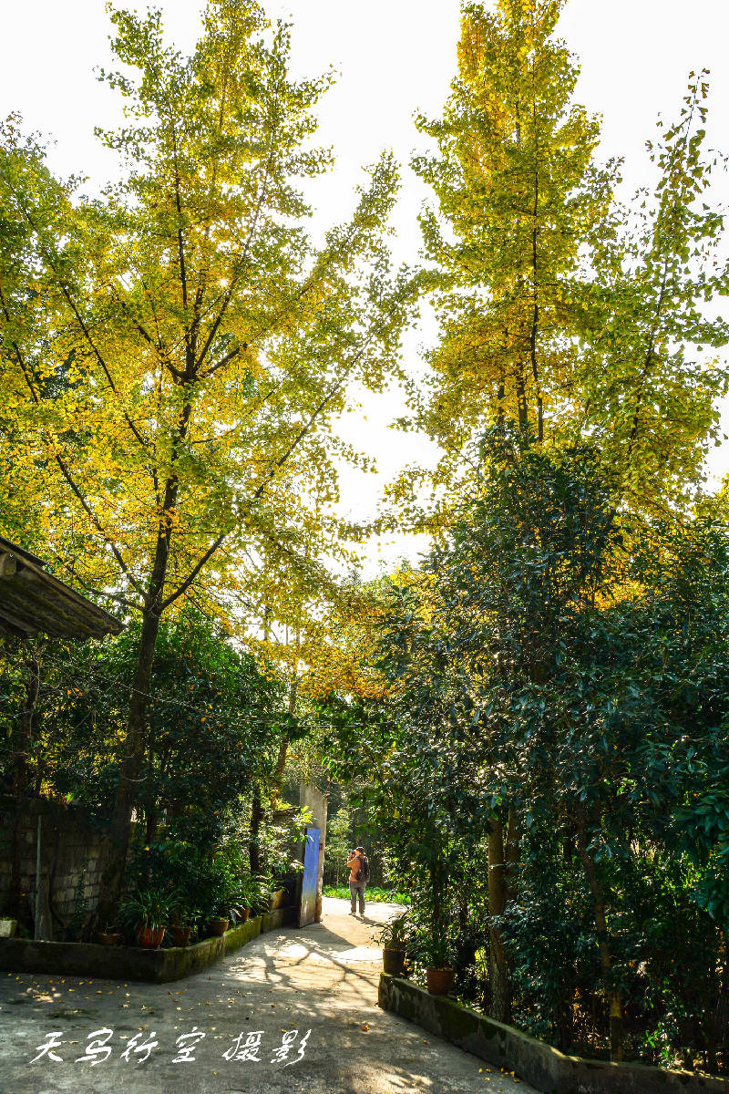 DSC_1505.jpg