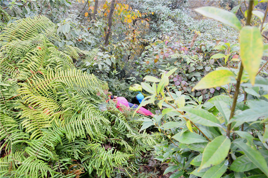 DSC_9129.jpg
