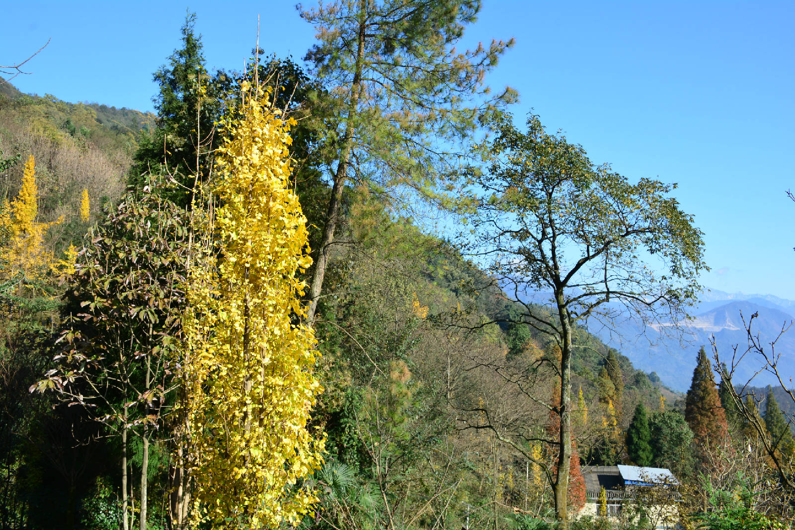 DSC_8844.JPG