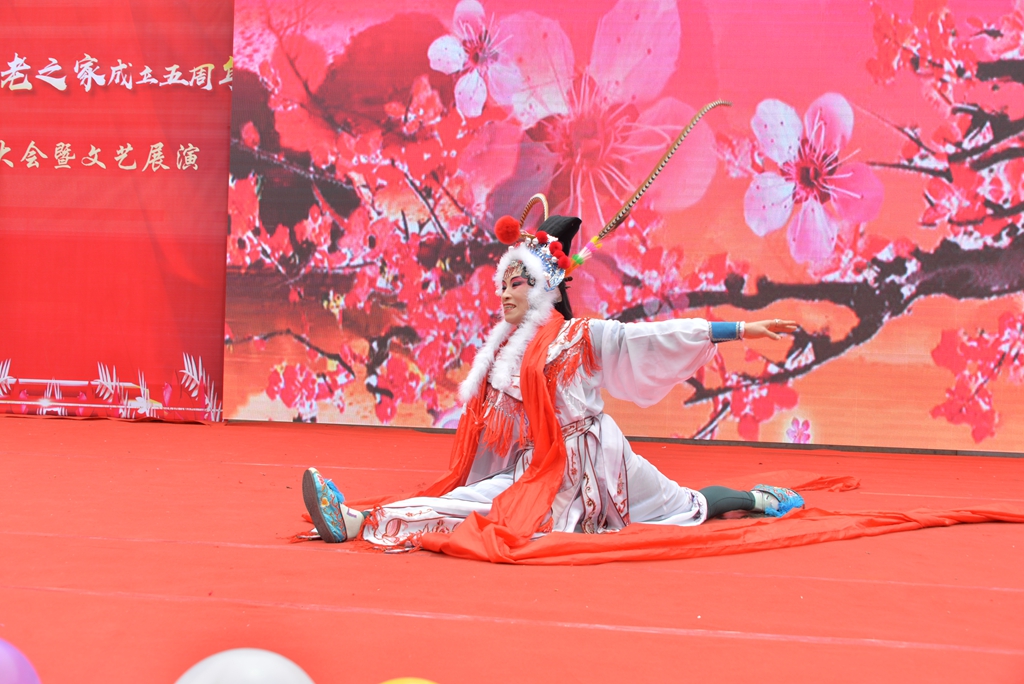 DSC_6607.jpg