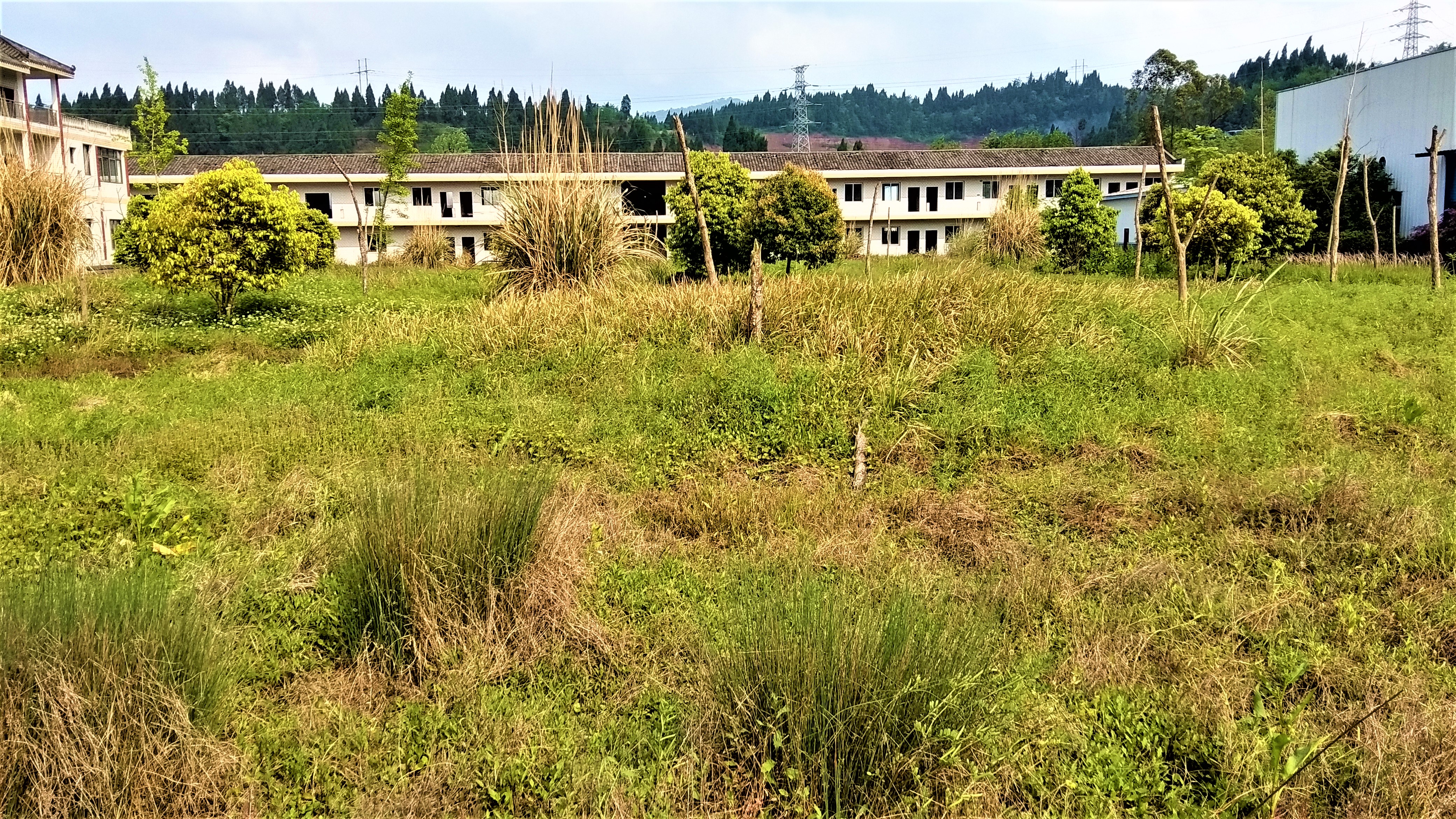 IMG_20180420_160548_HDR.jpg