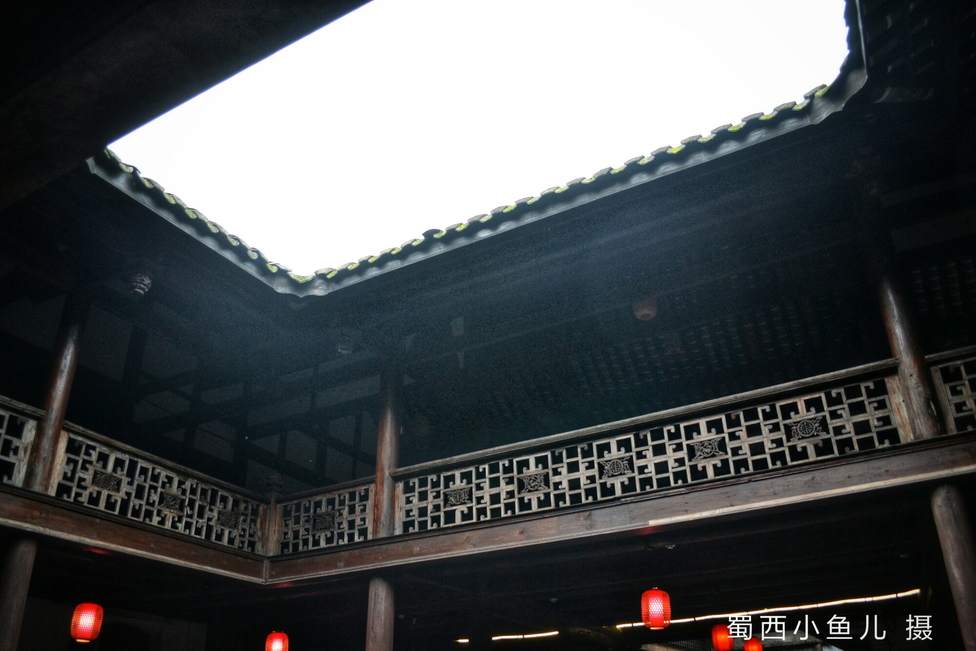 DSC_0108-01.jpeg