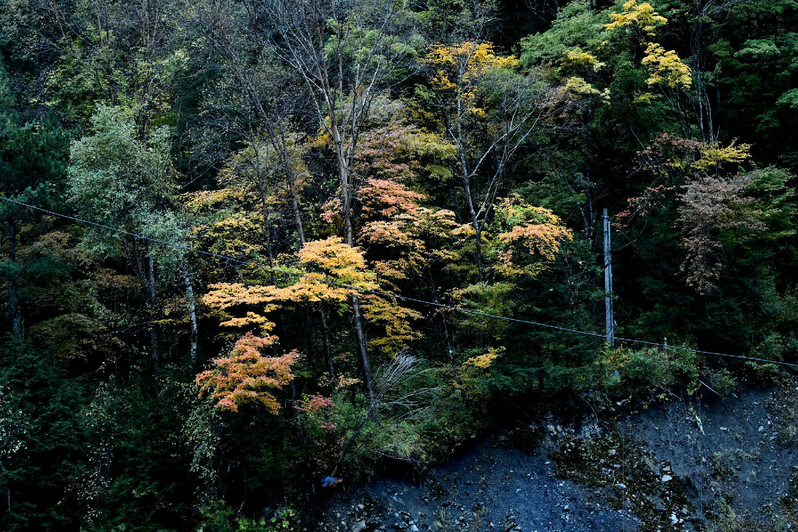 DSC_2509.JPG