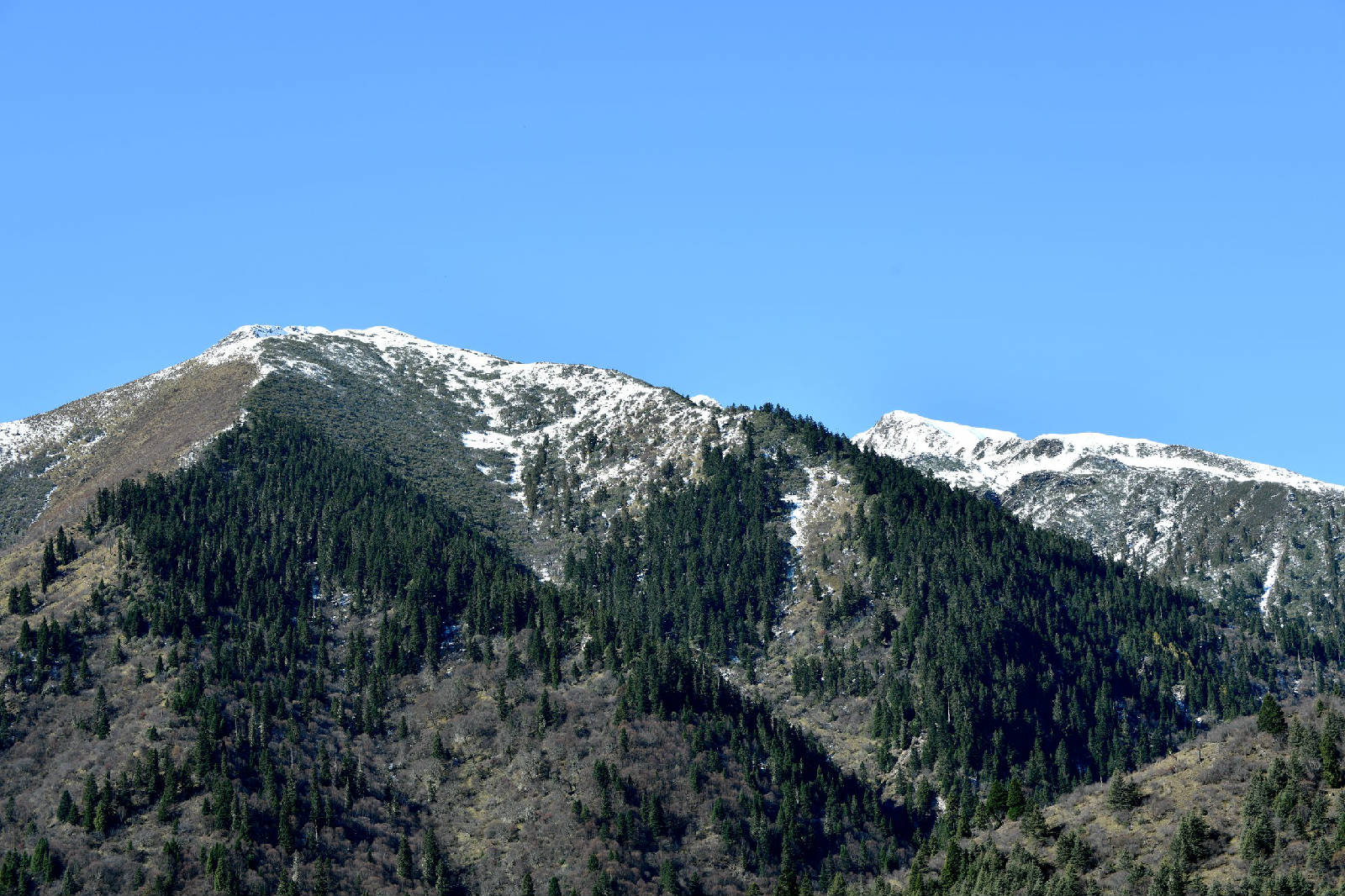 DSC_2534.JPG