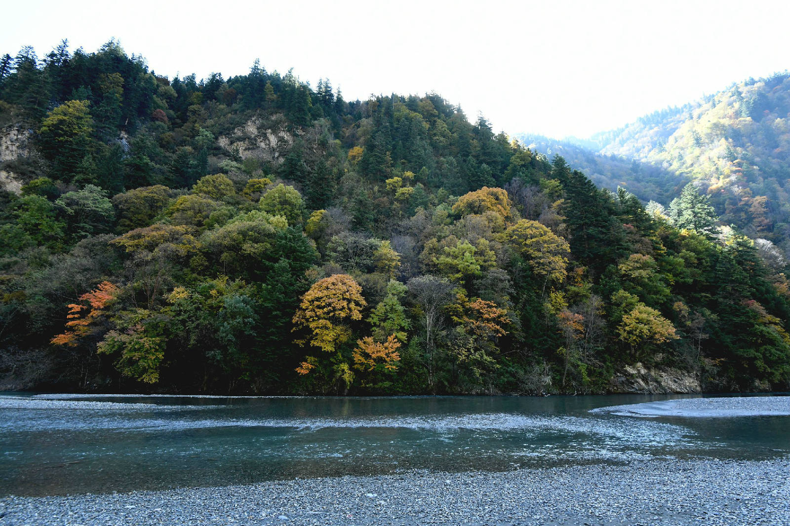 DSC_2565.JPG