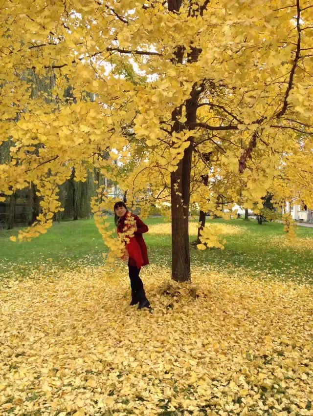 2018111675464291542348447196345.jpg