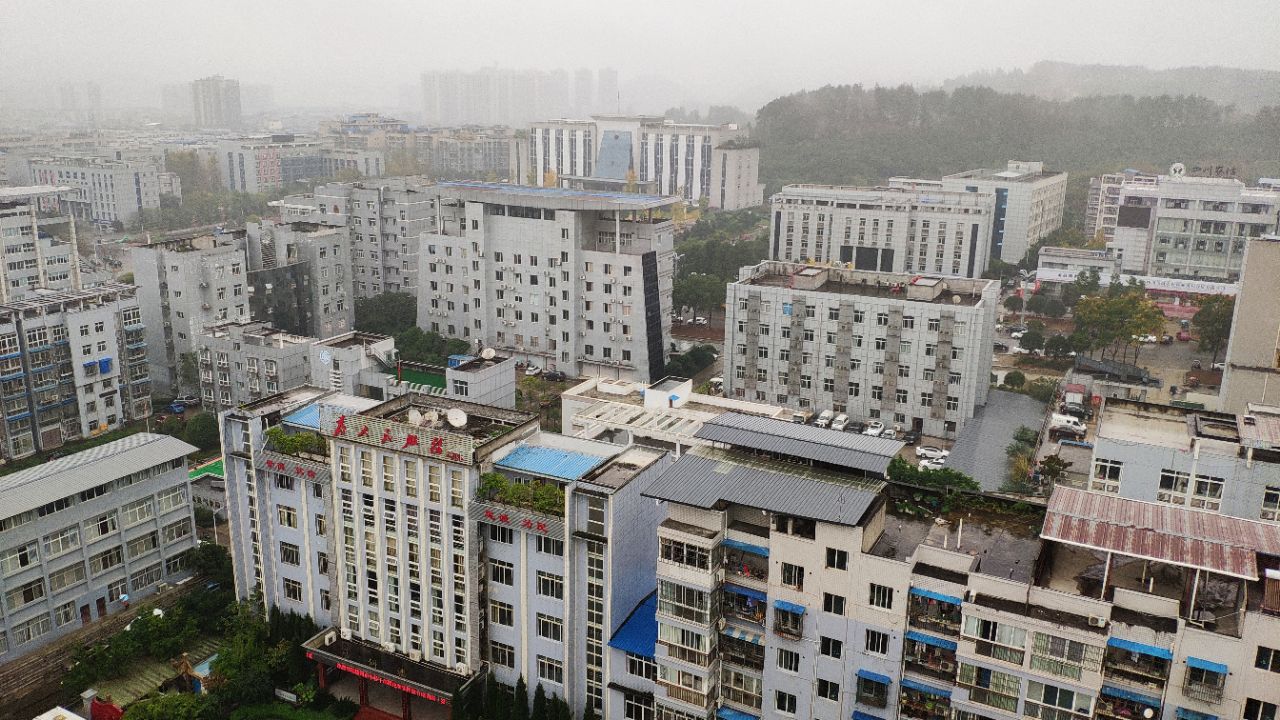 煙雨儀隴,小東山彩林.守望,迷濛的初冬