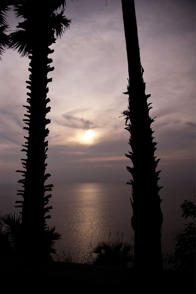 DSC_1772.JPG