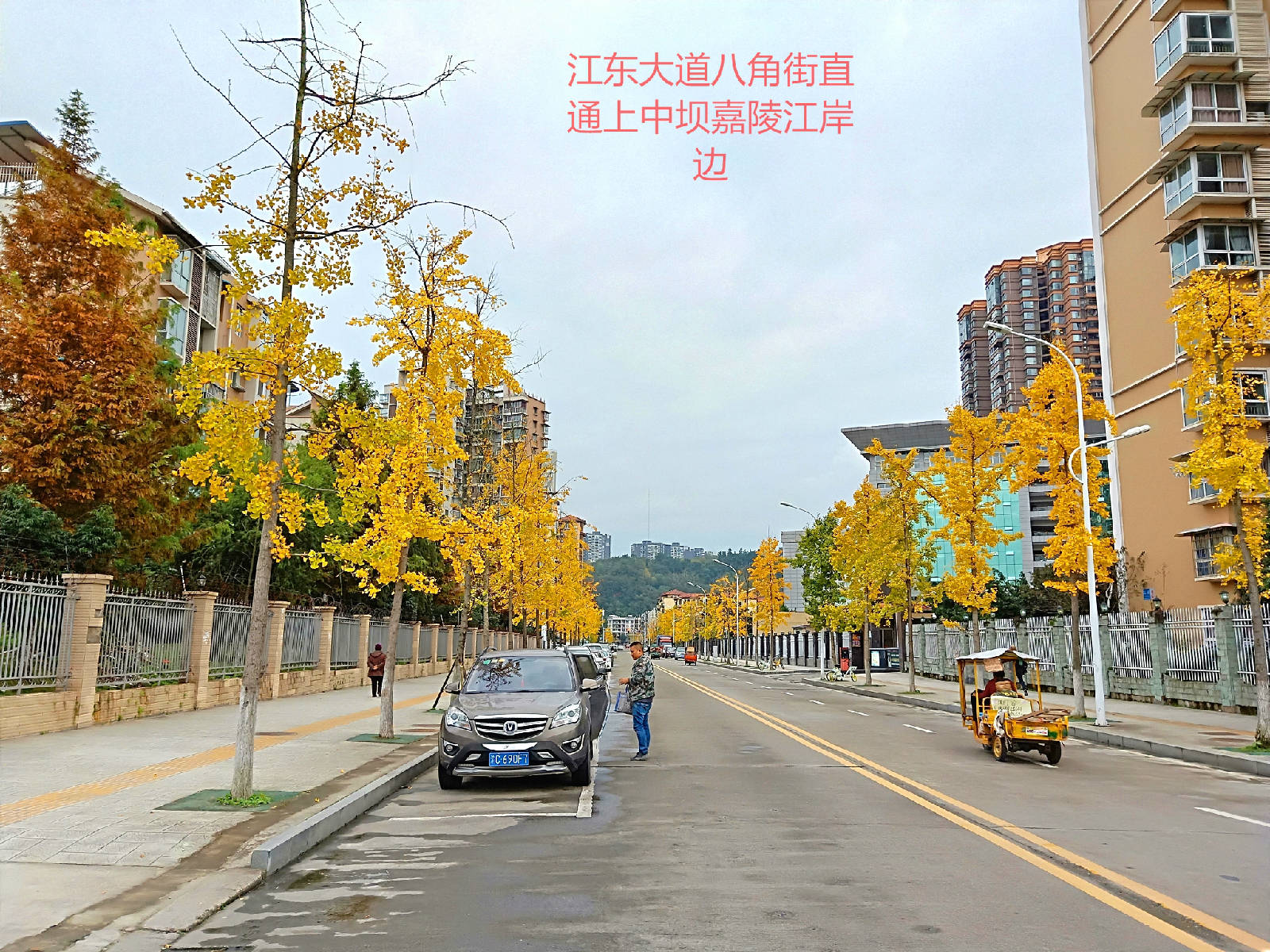 IMG20181119170107_看图