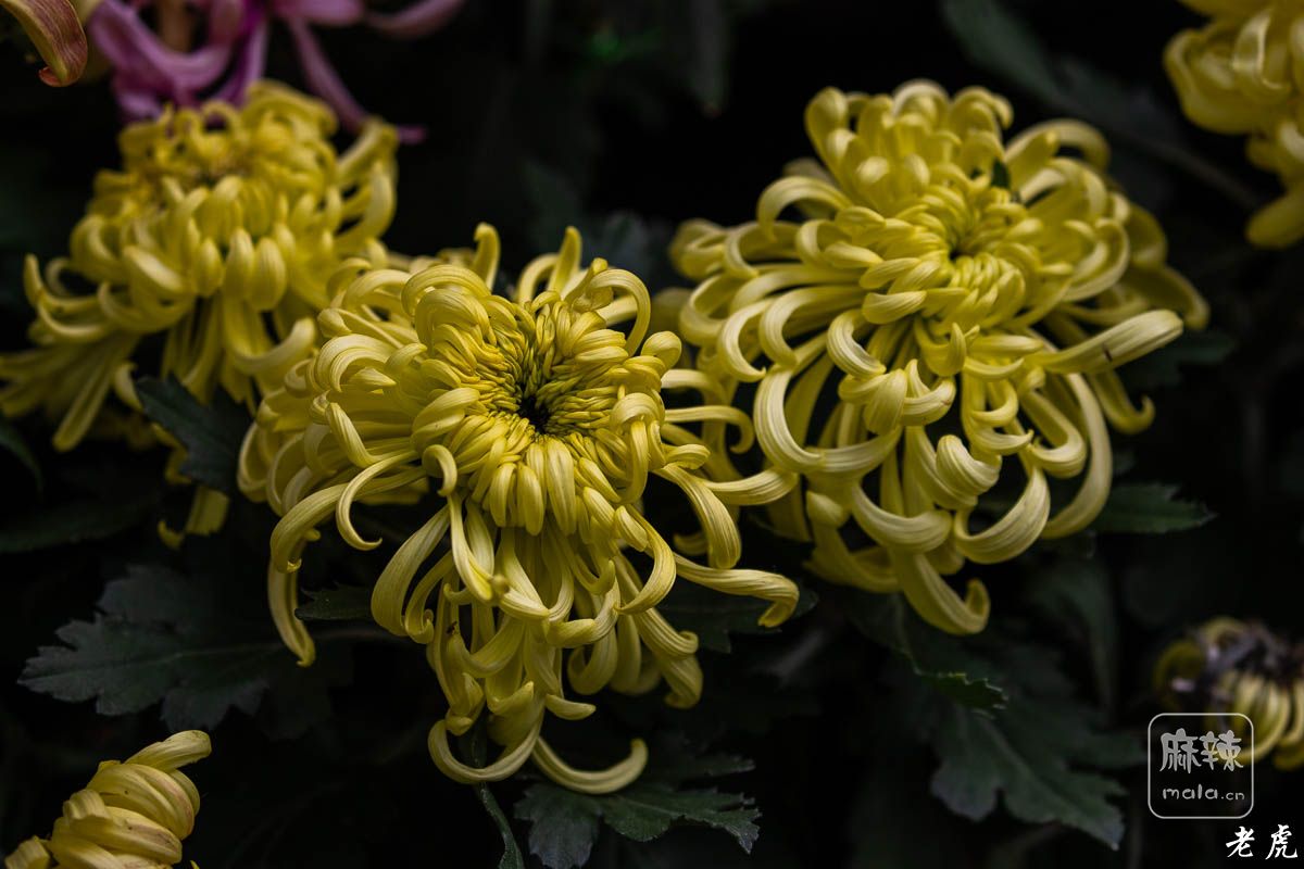 AR6P0099-43.jpg