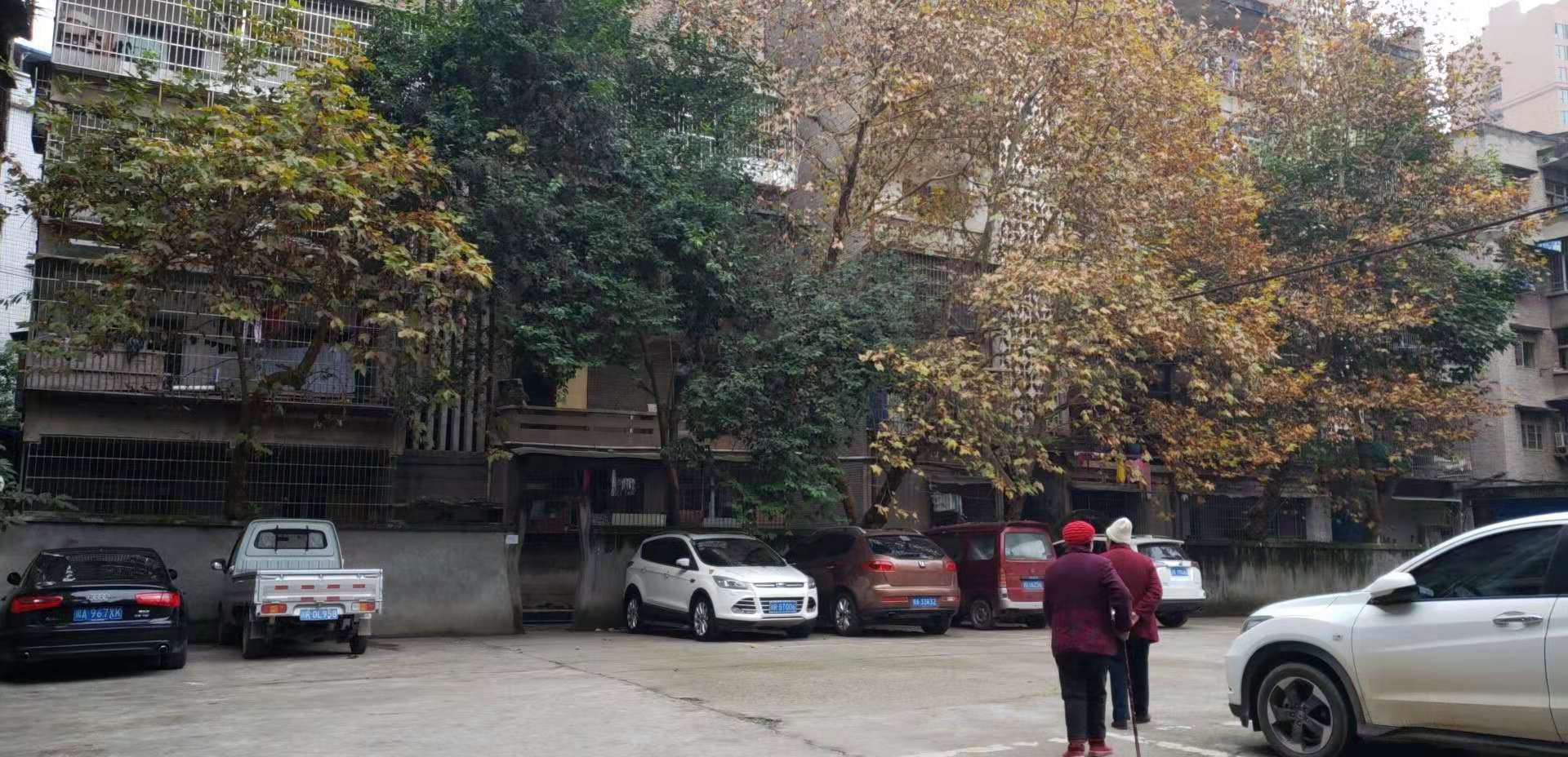 微信图片_20181121101446.jpg
