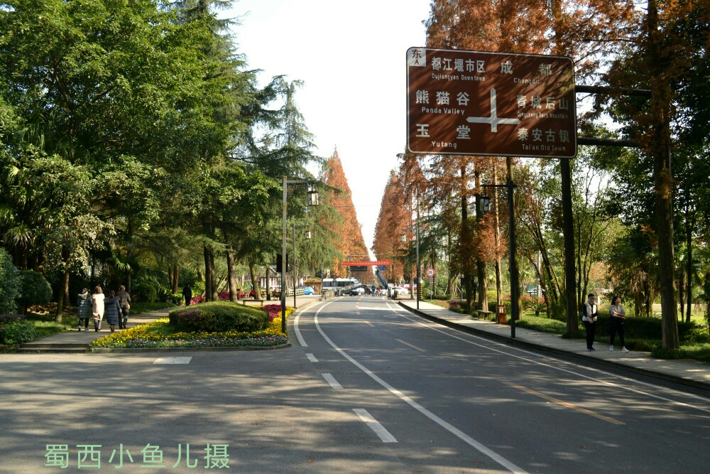 DSC_0031-01.jpeg