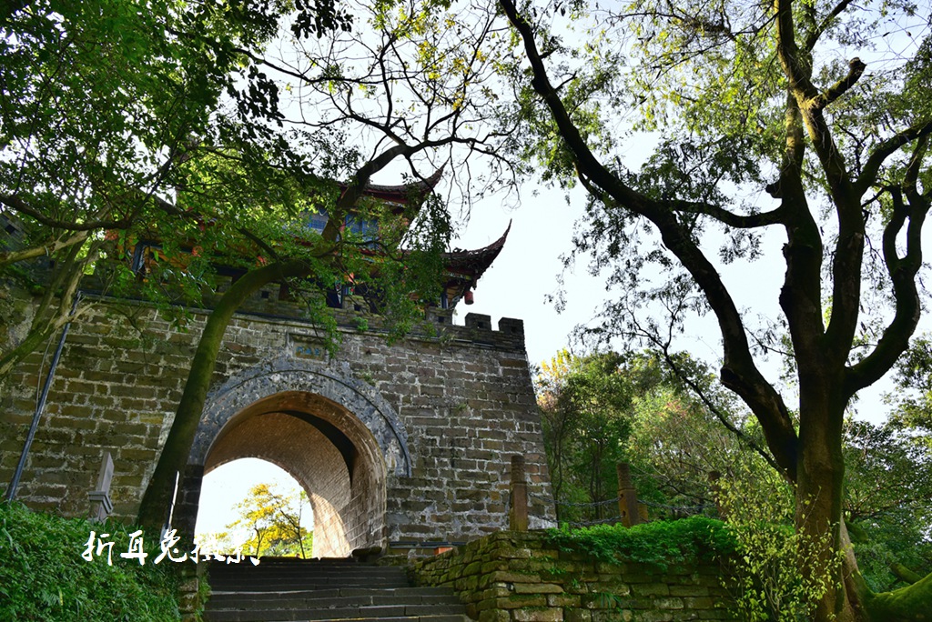 AAA_3702.jpg