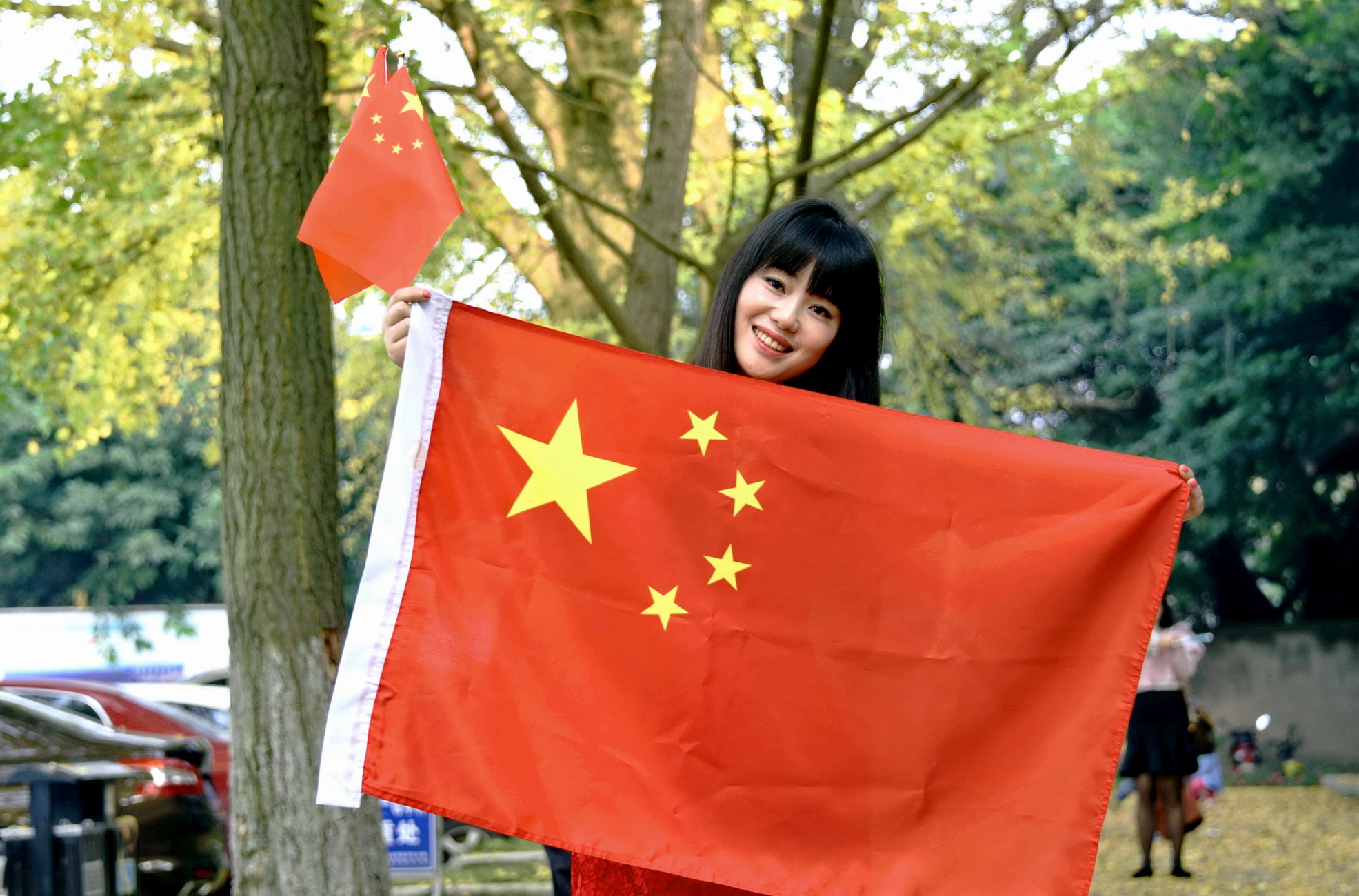 《五星红旗，我为你自豪