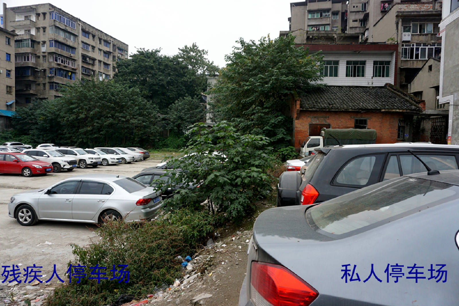 DSC07139_副本.jpg