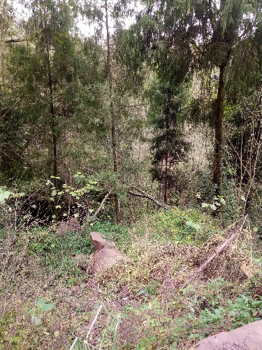 IMG20181123094905.jpg