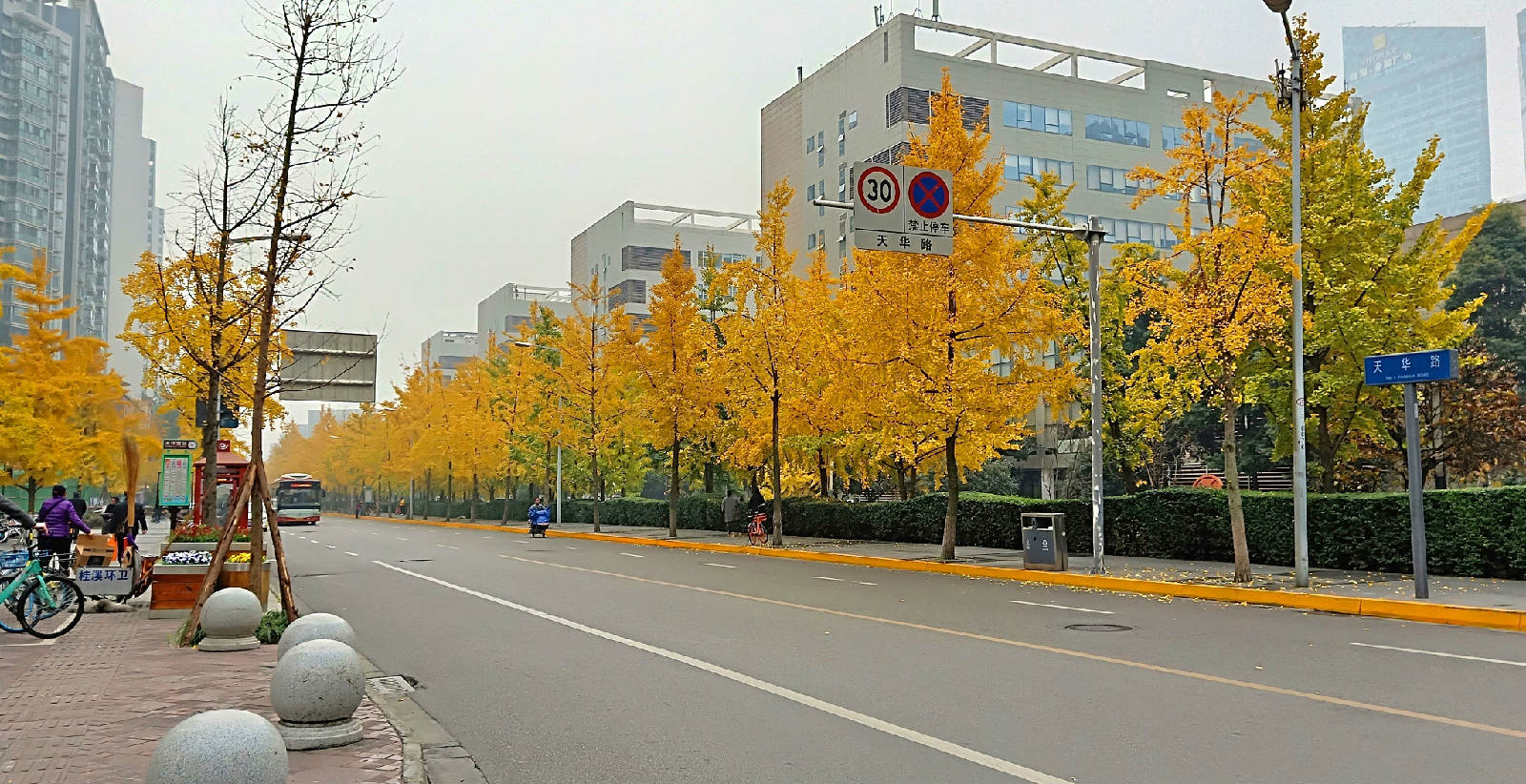 IMG20181130111837_看图