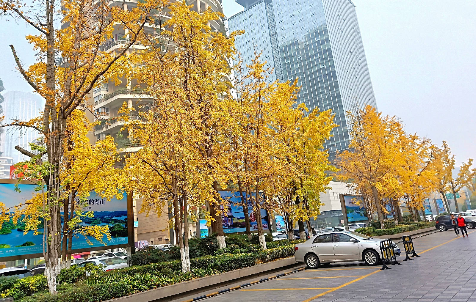 IMG20181130092210_看图