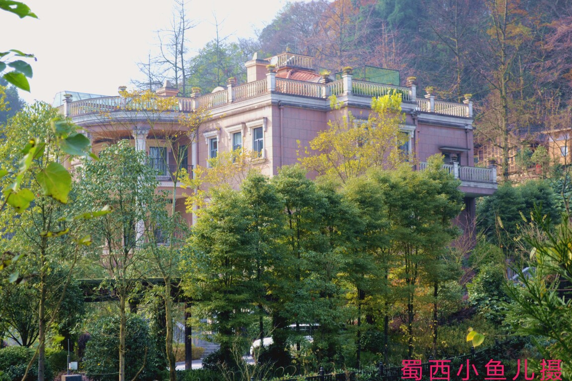 DSC_0069-01.jpeg